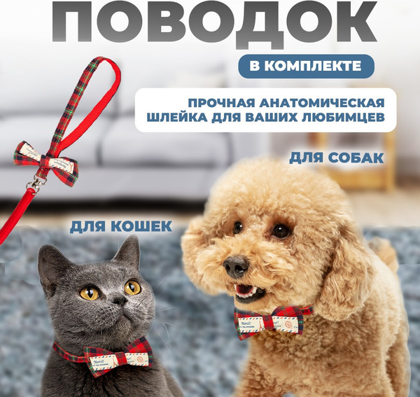 Изображение товара Шлея с поводком Solmax&Zoo MUZ54779 (красный)