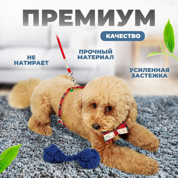 Изображение товара Шлея с поводком Solmax&Zoo MUZ54779 (красный)