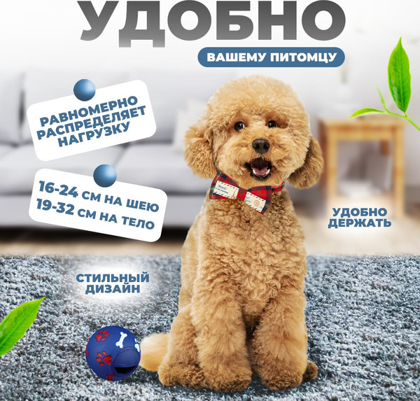Изображение товара Шлея с поводком Solmax&Zoo MUZ54779 (красный)