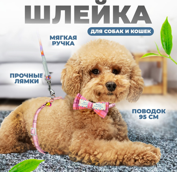 Изображение товара Шлея с поводком Solmax&Zoo MUZ99281 (розовый)