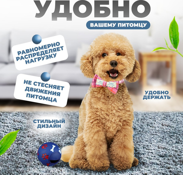 Изображение товара Шлея с поводком Solmax&Zoo MUZ99281 (розовый)