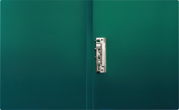 Изображение товара Папка для бумаг Стамм Хамелеон / ММ-31867 (зеленый)