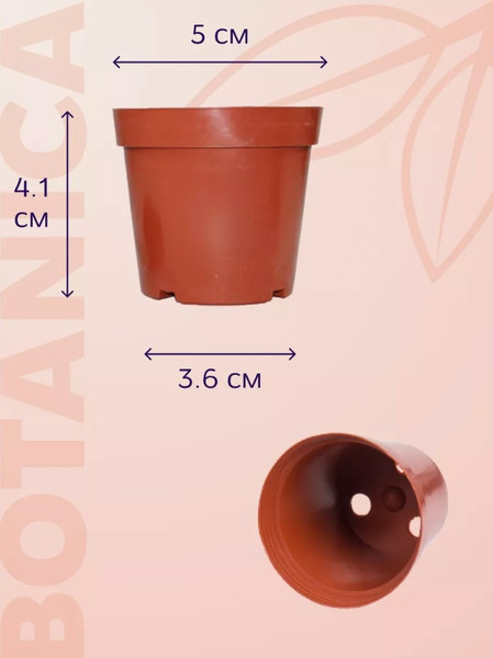 Изображение товара Набор горшков для рассады BOTANICA 5x4.1см (10шт, терракот)