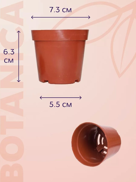 Изображение товара Набор горшков для рассады BOTANICA 7.3x6.3см (10шт, терракот)