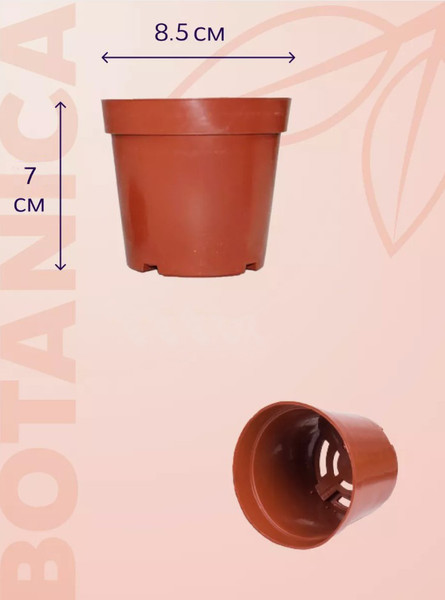 Изображение товара Набор горшков для рассады BOTANICA 8.5x7см (10шт, терракот)