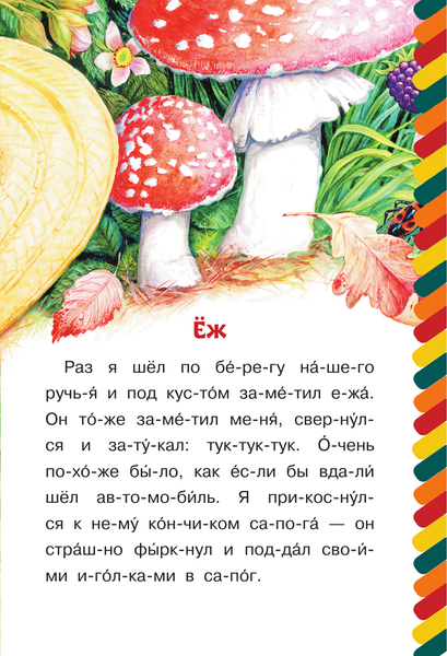 Изображение товара Развивающая книга АСТ Еж, мягкая обложка (Пришвин Михаил)