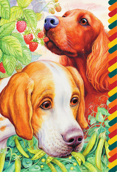 Изображение товара Развивающая книга АСТ Еж, мягкая обложка (Пришвин Михаил)