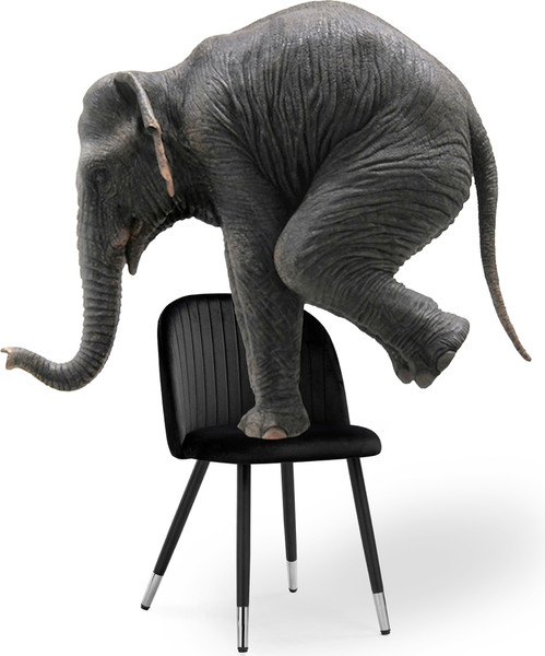 Изображение товара Стул Woodville Gabi / 15088 (green/black)