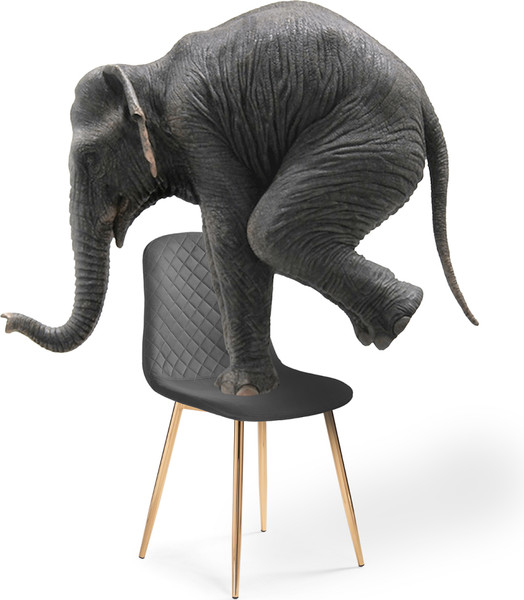 Изображение товара Стул Woodville Dabl (черный/золотой)