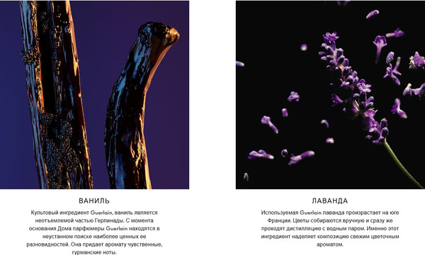 Изображение товара Парфюмерная вода Guerlain Jicky (75мл)