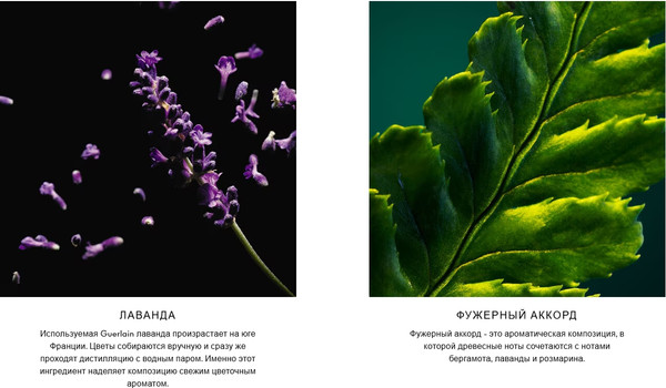 Изображение товара Парфюмерная вода Guerlain Jicky (75мл)