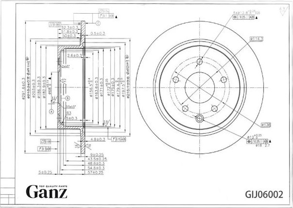 Изображение товара Тормозной диск GANZ GIJ06002