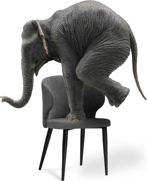 Изображение товара Стул Woodville Алсисар (катания графит/черный)