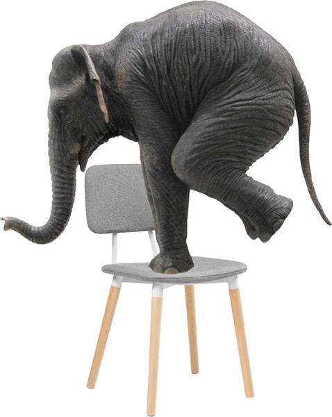 Изображение товара Стул Woodville Klint (серый/дерево)