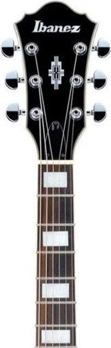 Изображение товара Полуакустическая электрогитара Ibanez AF75 BS