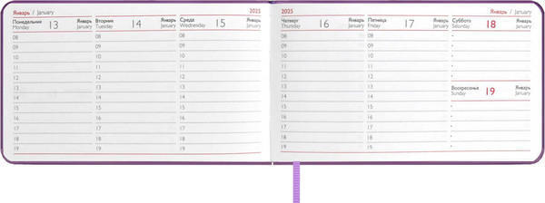 Изображение товара Еженедельник Escalada Виннер / 67156