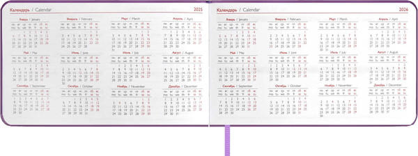 Изображение товара Еженедельник Escalada Виннер / 67156