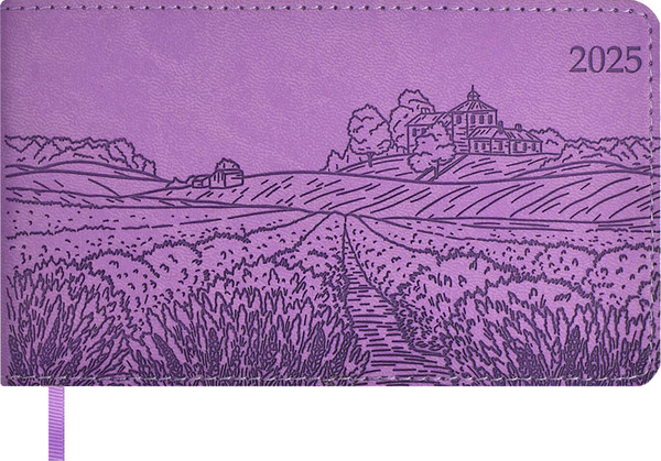 Изображение товара Еженедельник Escalada Виннер / 67156