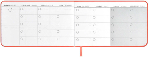 Изображение товара Еженедельник Escalada Виннер / 67333