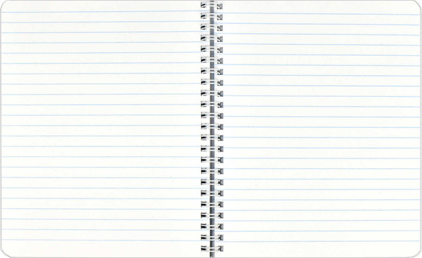 Изображение товара Тетрадь Феникс+ Double book. Нежность / 65374