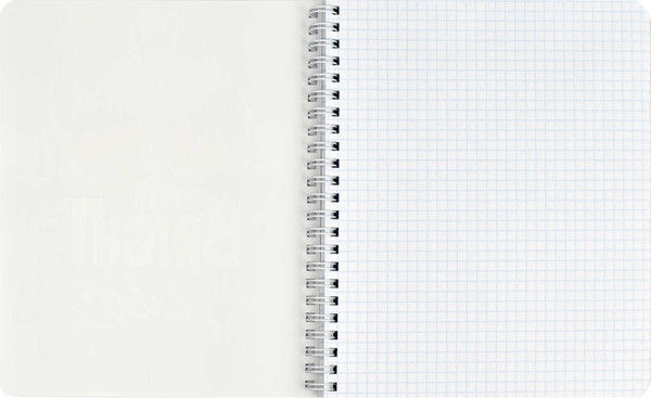 Изображение товара Тетрадь Феникс+ Double book. Нежность / 65374