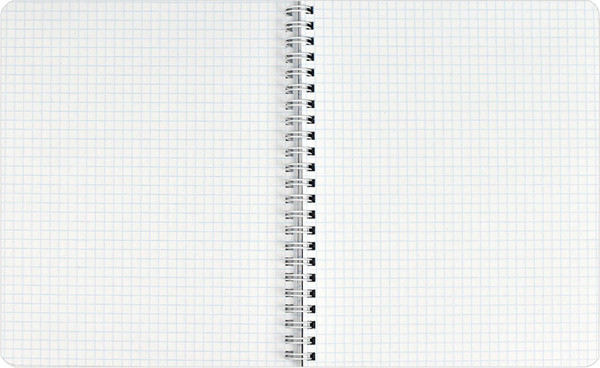 Изображение товара Тетрадь Феникс+ Double book. Нежность / 65374