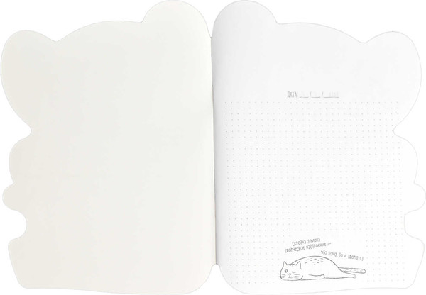 Изображение товара Тетрадь Феникс+ Коала / 64827