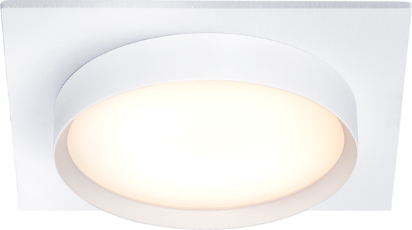 Изображение товара Точечный светильник Truenergy 21262