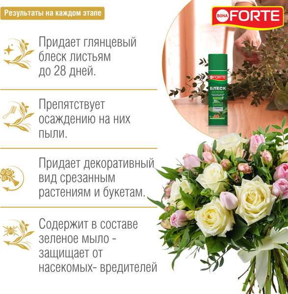 Изображение товара Средство защиты растений Bona Forte Блеск для листьев (500мл)