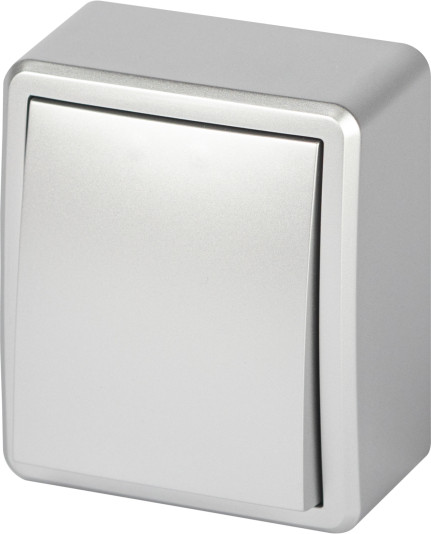 Изображение товара Выключатель ЭРА Эксперт 11-1201-03 / Б0063014 (алюминий)