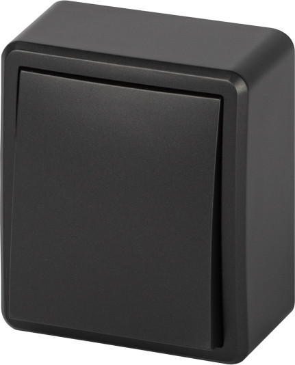 Изображение товара Выключатель ЭРА Эксперт 11-1202-05 / Б0063044 (антрацит)