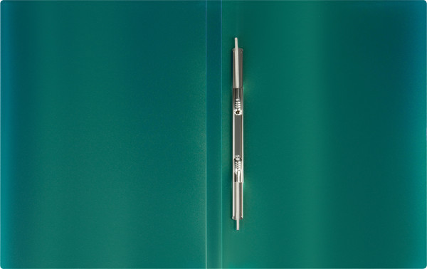 Изображение товара Папка для бумаг Стамм Хамелеон / ММ-31868 (зеленый)