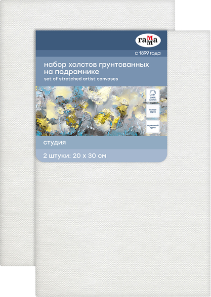 Изображение товара Набор холстов для рисования ГАММА Студия / 280818_13Р2 (2шт, хлопок)