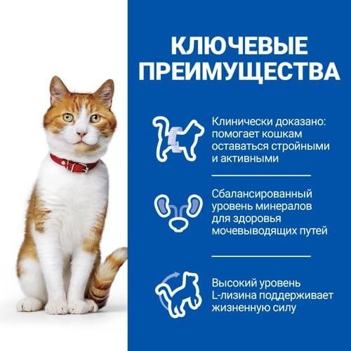 Изображение товара Сухой корм для кошек Hill's Science Plan Sterilised с курицей / 607655 (1.5кг)