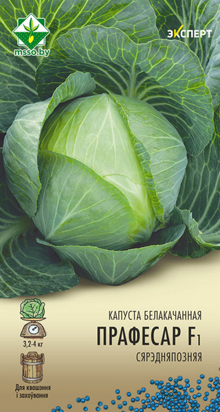 Изображение товара Семена МинскСортСемОвощ Капуста б/к. Профессор Эксперт F1 (12шт)