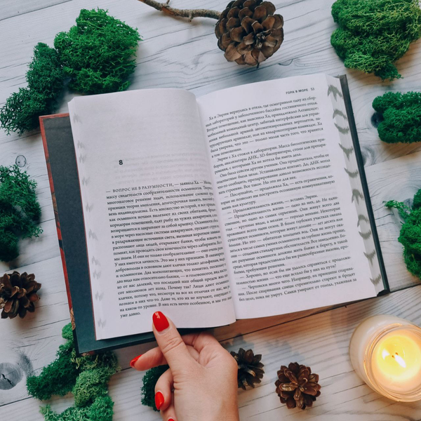 Изображение товара Книга Fanzon Гора в море, твердая обложка (Нэйлер Рэй)