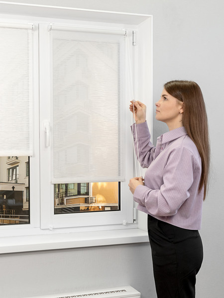 Изображение товара Рулонная штора Lm Decor LM 48-01 120x170 (бежевый)