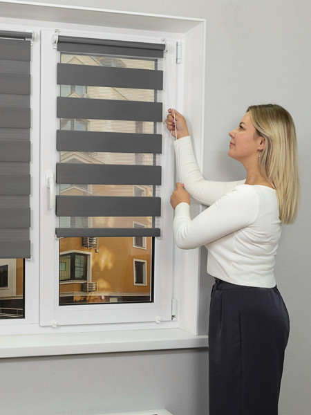 Изображение товара Рулонная штора Lm Decor ДН LB 11-10 110x160 (графитовый)