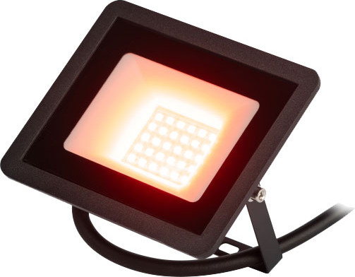 Изображение товара Прожектор ЭРА LPR-025-RED-030 / Б0064721