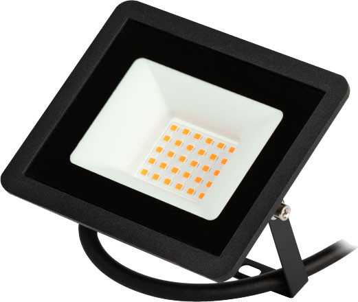 Изображение товара Прожектор ЭРА LPR-025-RED-030 / Б0064721