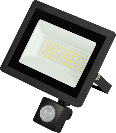 Изображение товара Прожектор ЭРА LPR-042-2-65K-050 / Б0064292