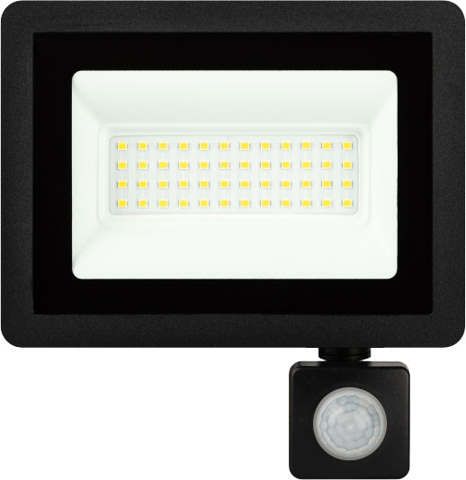 Изображение товара Прожектор ЭРА LPR-042-2-65K-050 / Б0064292