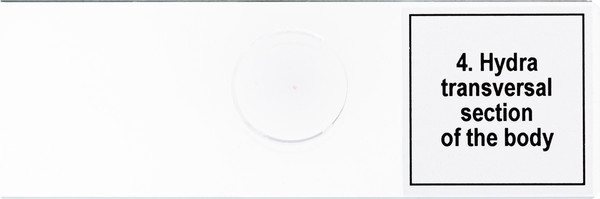 Изображение товара Набор микропрепаратов Levenhuk Discovery Prof DPS 5 Жизнь в капле воды / 78412