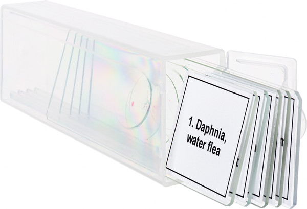 Изображение товара Набор микропрепаратов Levenhuk Discovery Prof DPS 5 Жизнь в капле воды / 78412