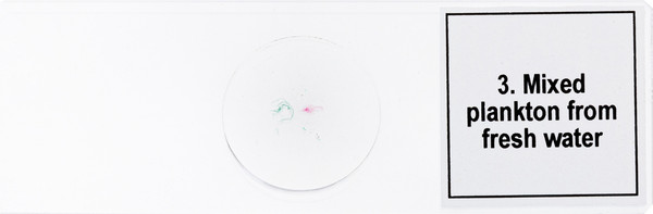 Изображение товара Набор микропрепаратов Levenhuk Discovery Prof DPS 5 Жизнь в капле воды / 78412