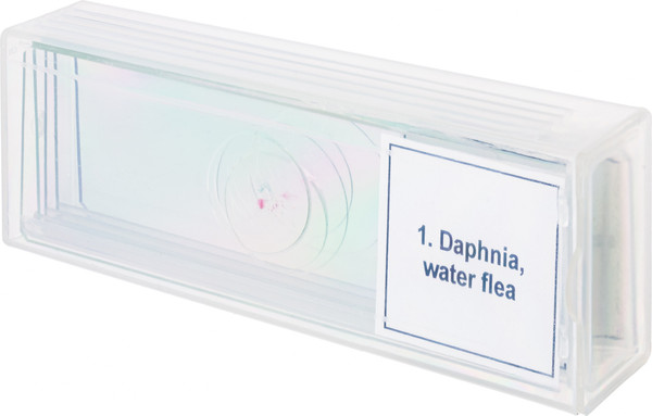 Изображение товара Набор микропрепаратов Levenhuk Discovery Prof DPS 5 Жизнь в капле воды / 78412