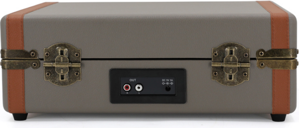 Изображение товара Проигрыватель виниловых пластинок Ritmix LP-130B (серый)