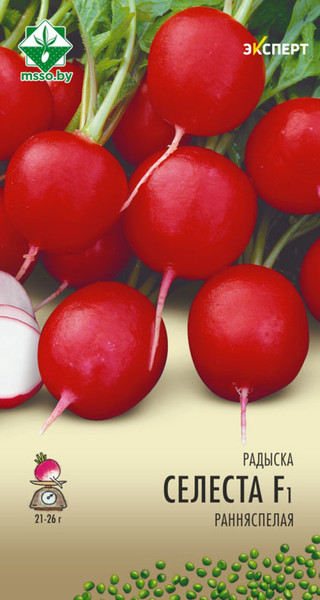 Изображение товара Семена МинскСортСемОвощ Редис. Селеста Эксперт F1 (1г)