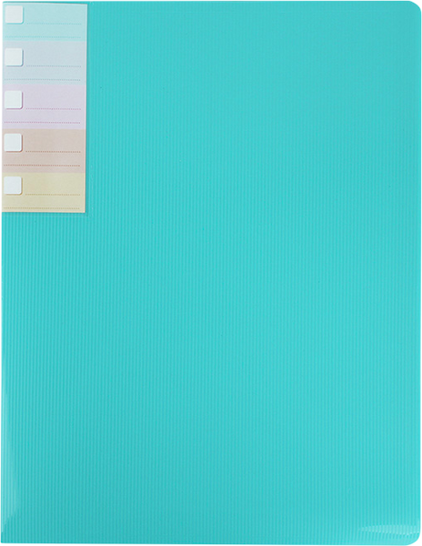 Изображение товара Папка для бумаг Darvish DV-0271S-LB (голубой)