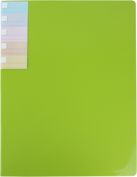 Изображение товара Папка для бумаг Darvish DV-0271S-LG (салатовый)